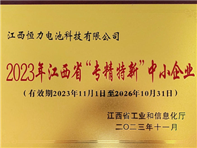 Specialized and innovative small and medium-sized enterprises