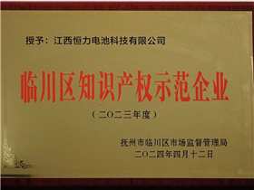 2024 Intellectual Property Demonstration Enterprise