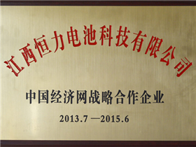 China Economic Network Strategic Cooperation Enterprise